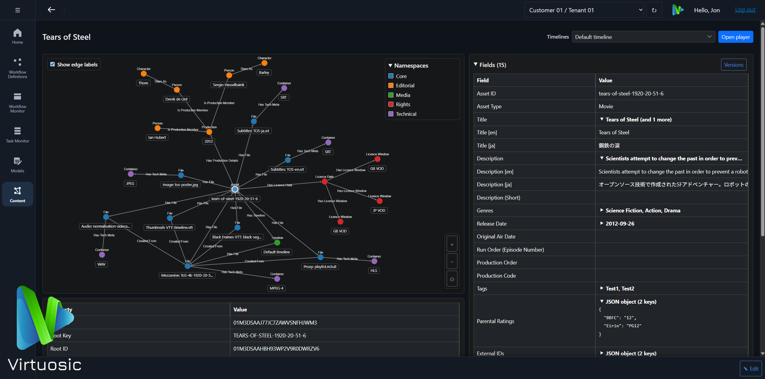 Maestro interactive metadata graph and versioned entities